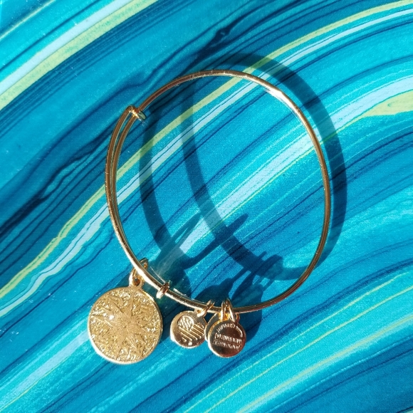 Alex and Ani, Healing Love, Sparkling, Charm Bracelet - Picture 7 of 7